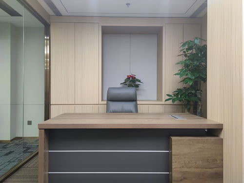 国贸cbd 国贸三期 地标建筑 全新装修带家具 对电梯
